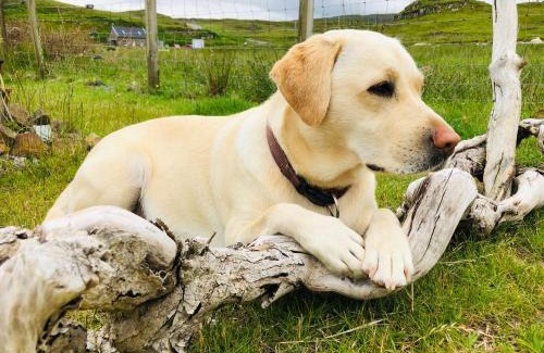 Colbost House | Carters Rest Holiday Lets