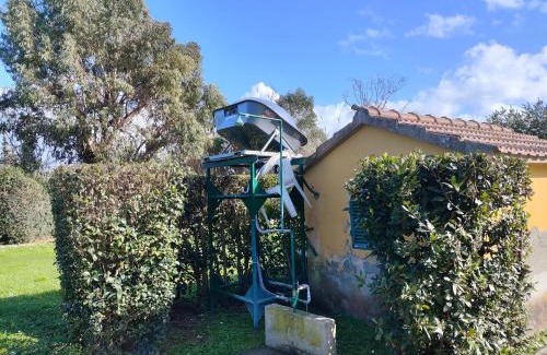 Piombino Apartment | Casa al mare con giardino "Garden House", 2 km spiaggia golfo di Baratti & parco archeologico