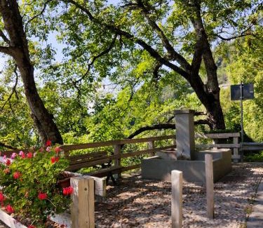 Vignola-Falesina Apartment | Casa alla Fontana