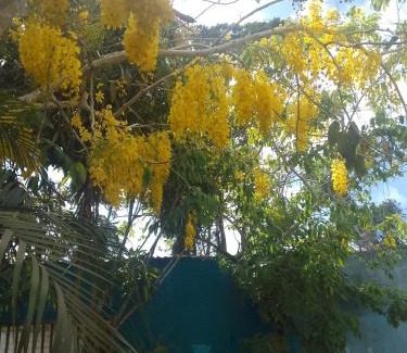 Trancoso House | Casa analia