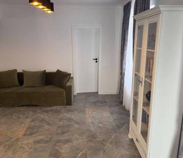 Sanmartin House | Casa Andreea 2