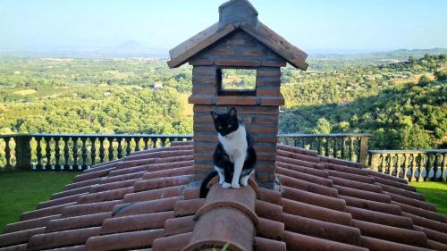 Soriano nel Cimino Apartment | Casa Anna Maria