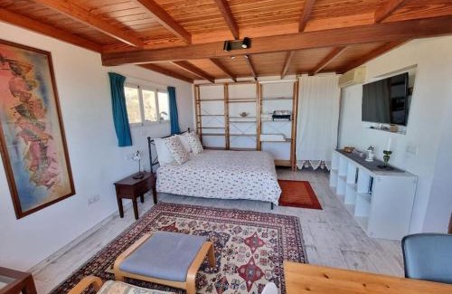 Arecida House | Casa Aram lapalmahouse