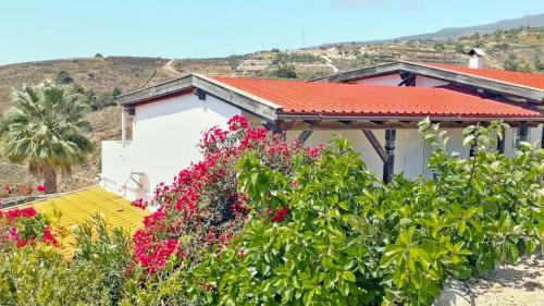 La Sabinita House | Casa Azul, Arico Viejo La Sabinita - Baden, wandern, klettern, Individualurlaub jenseits des Massentourismus,