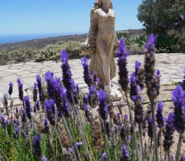 La Sabinita House | Casa Azul, Arico Viejo La Sabinita - Baden, wandern, klettern, Individualurlaub jenseits des Massentourismus,