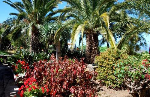 El Paso House | Casa Bana 2