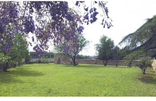 El Veinat de Dalt House | Casa Baraldës