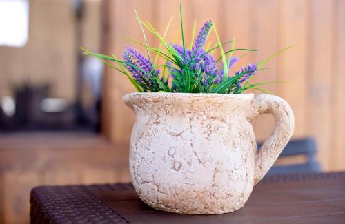 Puerto del Rosario House | Casa Barranco de la Sal