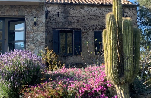 Casta House | CASA BATTAGLIOLA - CORSE DU NORD - 10/20 pers