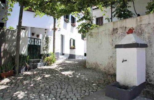 Figueiro dos Vinhos House | Casa Beatriz