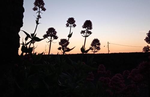 Valverde House | Casa Ben Abora