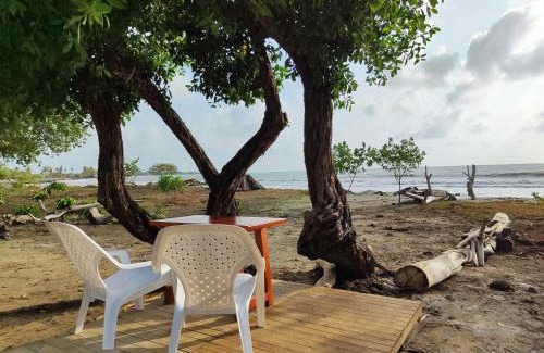 Monitos House | Casa Blanca Broqueles Hotel