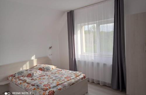 Sovata House | Casa Bokor