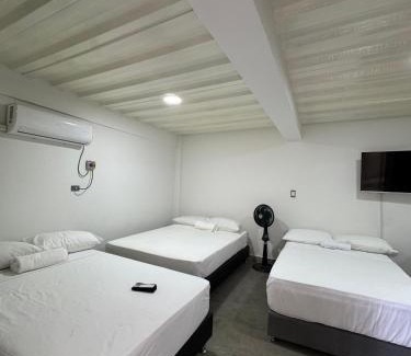 Samana House | Casa Bosque Vivo