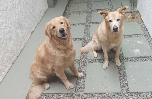 Primavera House | Casa de Bairro Para Descansar