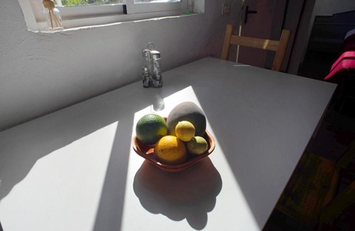 Mogan Apartment | Casa Cactus