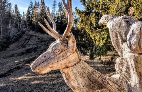 Vitri Apartment | Casa Camilla Holiday