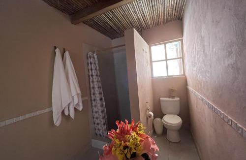 Sauce Ski Chalet | Casa Capirona 2 - Laguna Azul