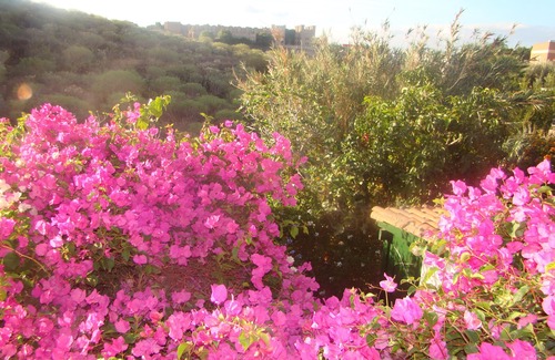 Aldea Blanca Cottage | Casa Casilda, Bed and Breakfast in the south of Tenerife