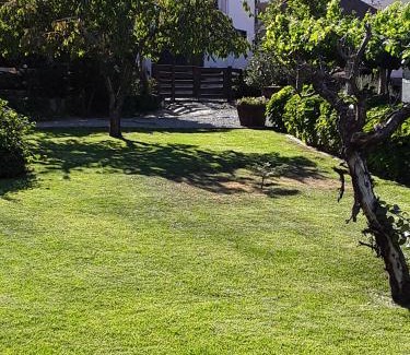 Cotas House | Casa Castedo do Douro