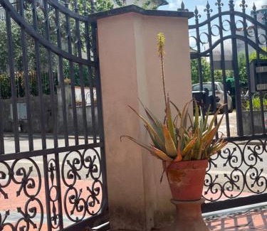 San Romano House | Casa Ceccanti