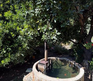 Olmue House | Casa Choapino