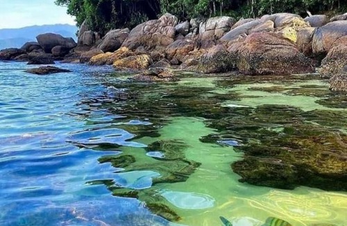 Cabore House | Casa Colibri - Praias e Cachoeiras