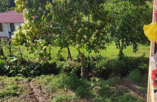 Acacias Apartment | Casa colonial