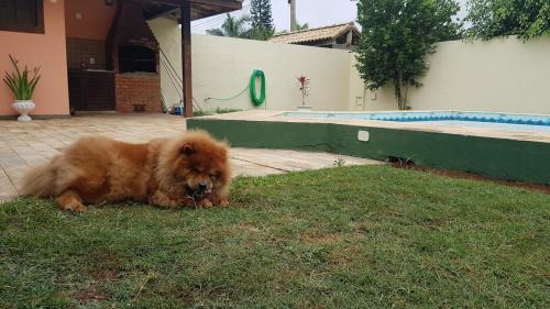 Ogiva House | Casa com piscina e churrasqueira Cabo Frio Ogiva