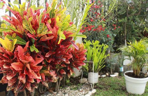 Yotoco Villa | Casa con Mirador al Lago Calima