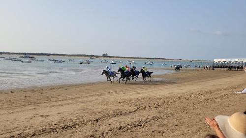 Sanlucar de Barrameda House | Casa con Piscina en Sanlucar de Barrameda