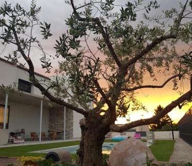 Puiggros House | Casa con piscina y jardin privado OASIS DE DOLORS