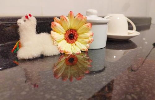 Arequipa House | Casa CORAZON DE LEÓN AQP