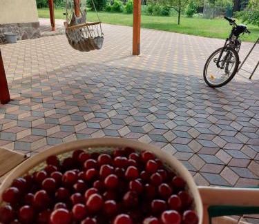 Sinpetru House | Casa Costache