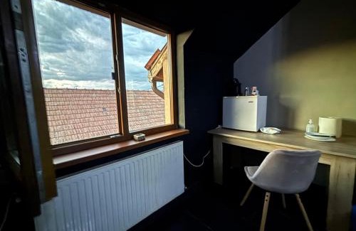 Alba Iulia House | Casa cu brad