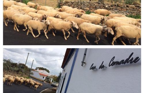 Sao Pedro do Corval House | Casa da Comadre - Casas de Taipa