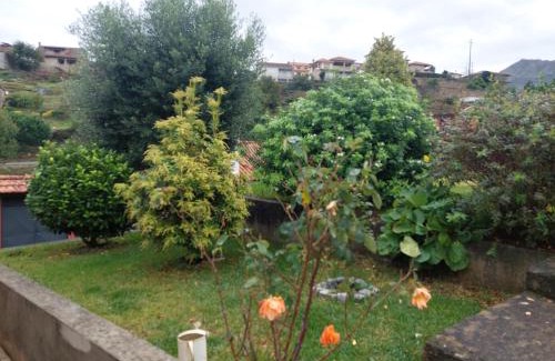 Molares House | Casa da Oliveira