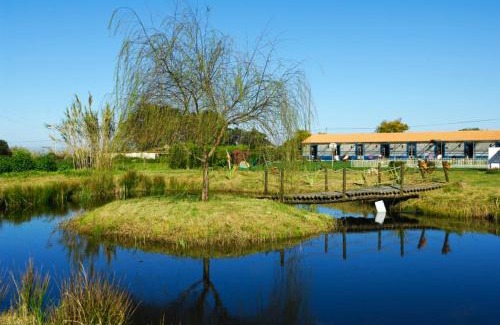 Baiona House | Casa Da Seiceira