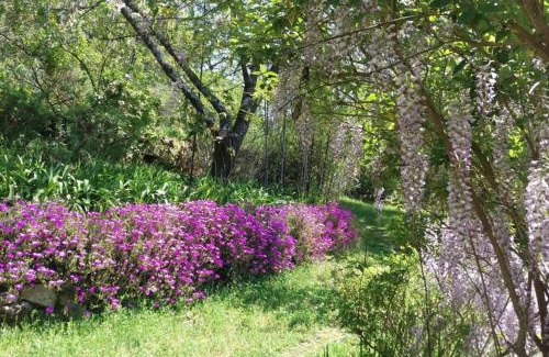 Penafiel House | casa das laranjeiras