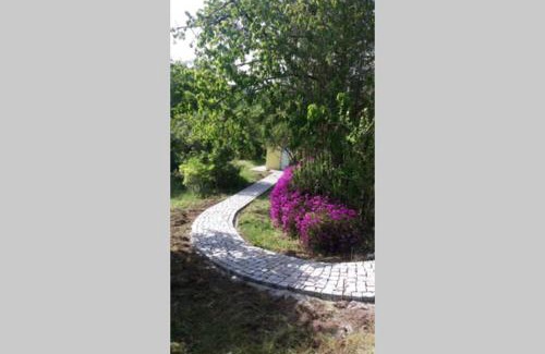 Penafiel House | casa das laranjeiras