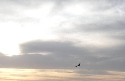 Chiguata House | Casa de Campo Arequipa - Disfruta de la naturaleza