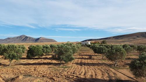 Antigua House | Casa de Nico