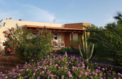 Antigua House | Casa de Nico