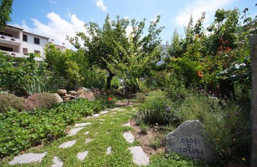 Pomonte Apartment | Casa degli Agrumi