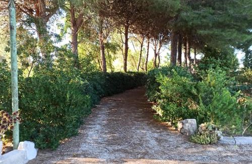 Giorgilorio Villa | Casa dei Nonni by Briciole di Gusto - 3000mq di relax in giardino a 1500m dal mare