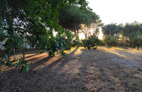 Giorgilorio Villa | Casa dei Nonni by Briciole di Gusto - 3000mq di relax in giardino a 1500m dal mare