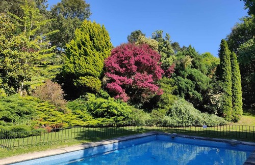 Gondomar House | Casa del Cura de Oliveira