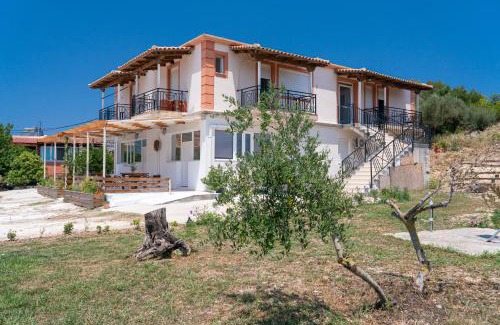 Paliki Apartment | Casa di Colona Studio