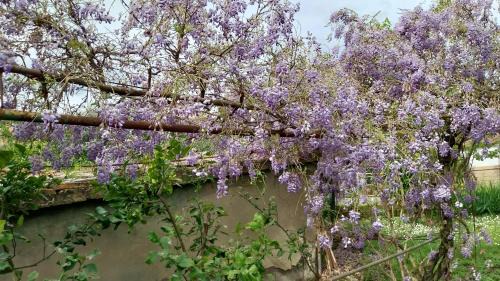 Santa Luce Apartment | Casa di Giulia (Bambini gratis fino a 6 anni)