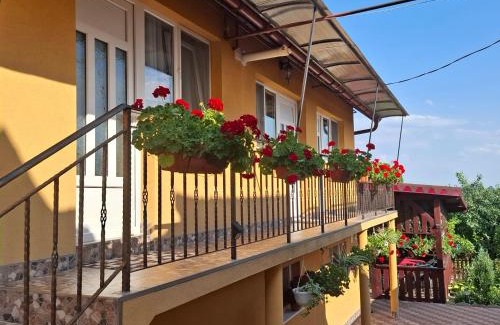 Turda House | Casa dina